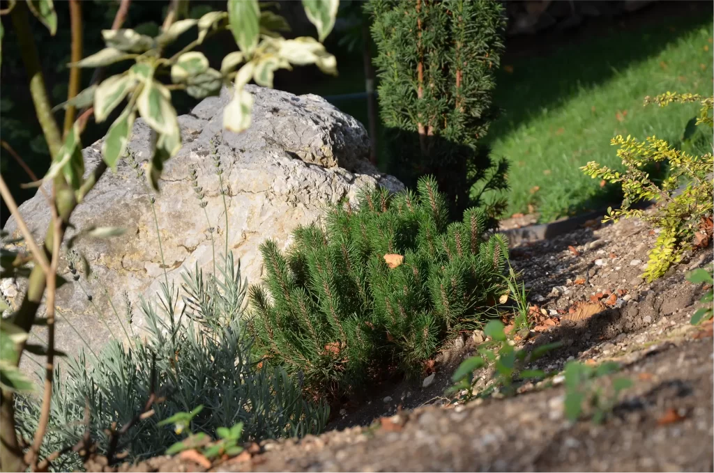 Garden detail