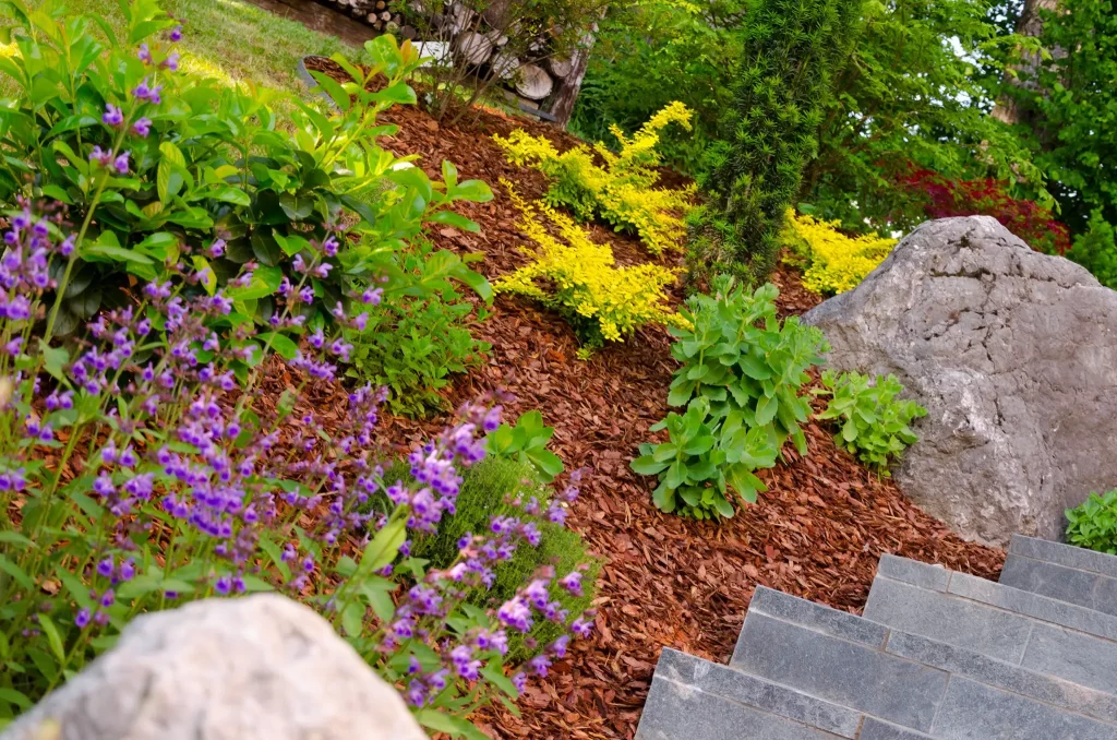 Garden detail